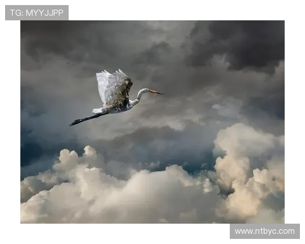 《一半天堂》：当现实的枷锁遇上心灵的飞翔